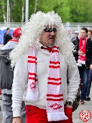 Spartak-horse (10).jpg